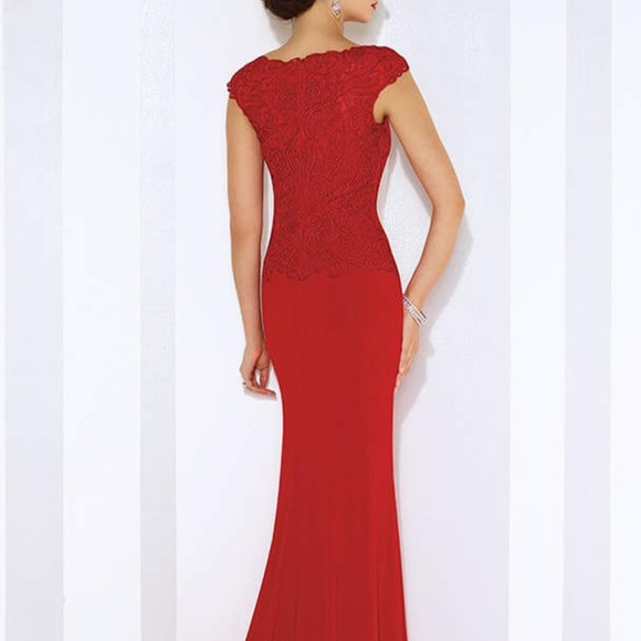 Mother of the Bride or Evening Dress - Picture 3 of 3